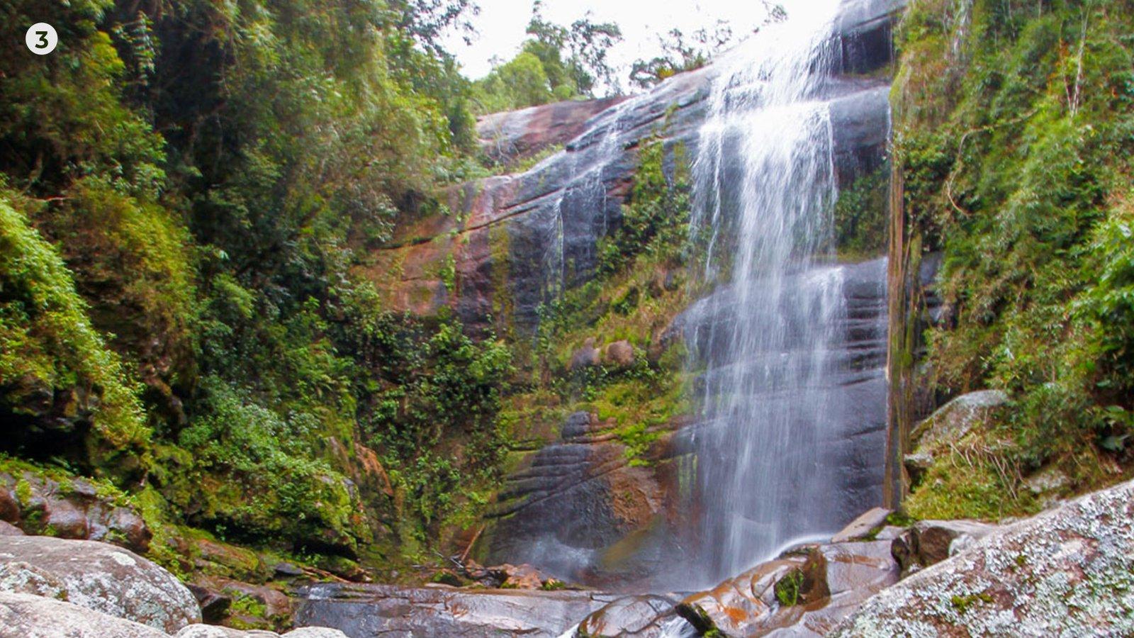 A natureza ao seu redor